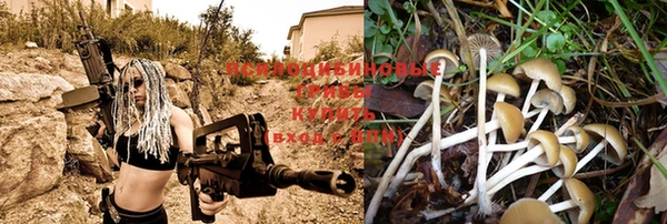 дживик Кинешма