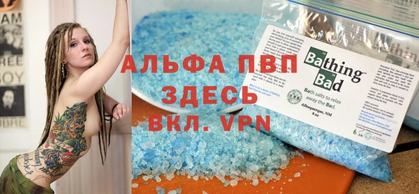 дживик Козельск