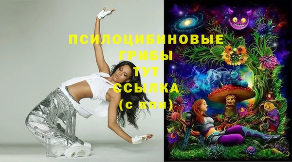 ешки Козловка