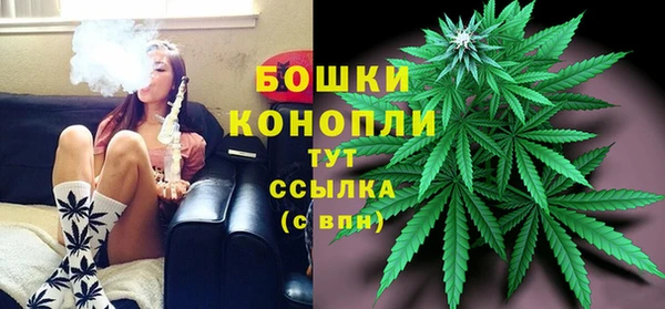 дживик Козельск