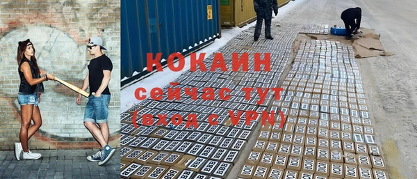 ешки Козловка