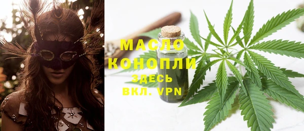 дживик Кинешма