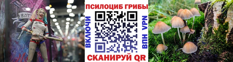 мориарти клад  сколько стоит  KRAKEN рабочий сайт  Рязань  Галлюциногенные грибы Cubensis 