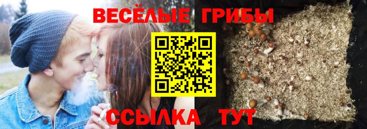 Галлюциногенные грибы прущие грибы Рязань